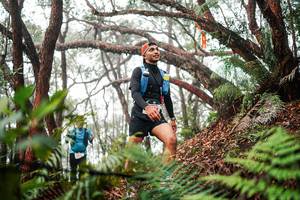 BIB: 
                            <button type="button" onclick="openModal(26299258)" class="btn btn-primary btn-sm float-right btn-popup" data-toggle="modal" data-target=".modal-high-quality">
                        <i class="fas fa-shopping-cart"></i> Add to Cart
                    </button>
                                            <button type="button" onclick="isThisMe(26299258, true)" class="btn btn-success btn-sm float-right btn-popup btn-isme hidden" data-toggle="tooltip" data-placement="bottom" title="นี่คือรูปของคุณใช่ไหม คลิกที่นี่เพื่อเอาเข้าอัลบั้ม">
                        <i class="fas fa-plus"></i> Add to album
                    </button>
                    <button type="button" onclick="isThisMe(26299258, false)" class="btn btn-warning btn-sm float-right btn-popup btn-isnotme hidden">
                        <i class="fas fa-ban"></i> Remove from album
                    </button>